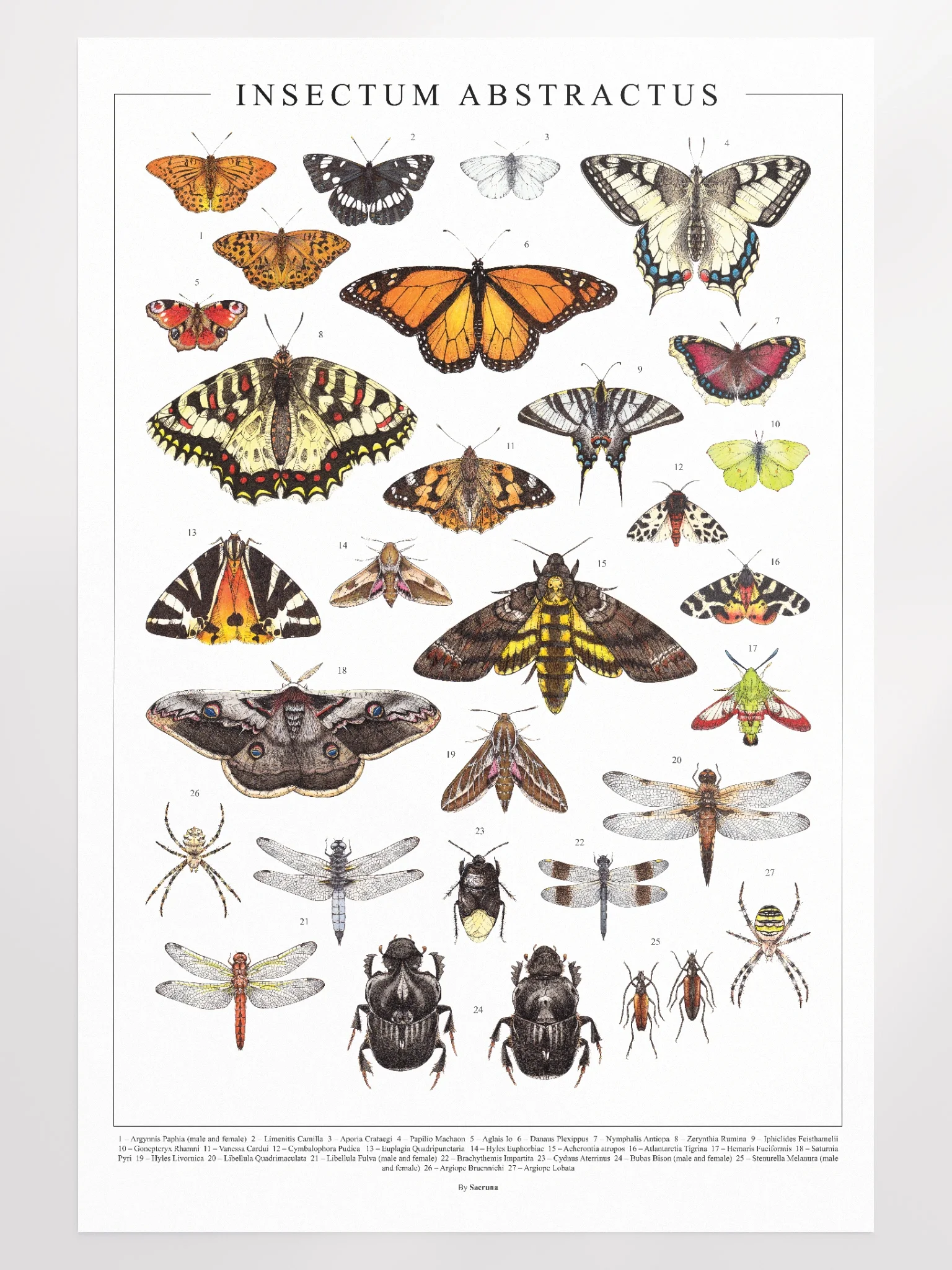 Insectum Abstractus, Whole • Print product image (4)