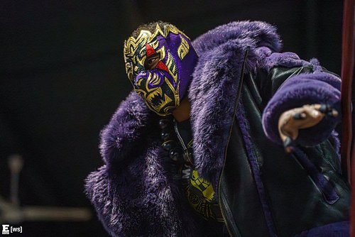 A lion don’t never lose sleep when it comes to sheep
📸 Derek Brightwell