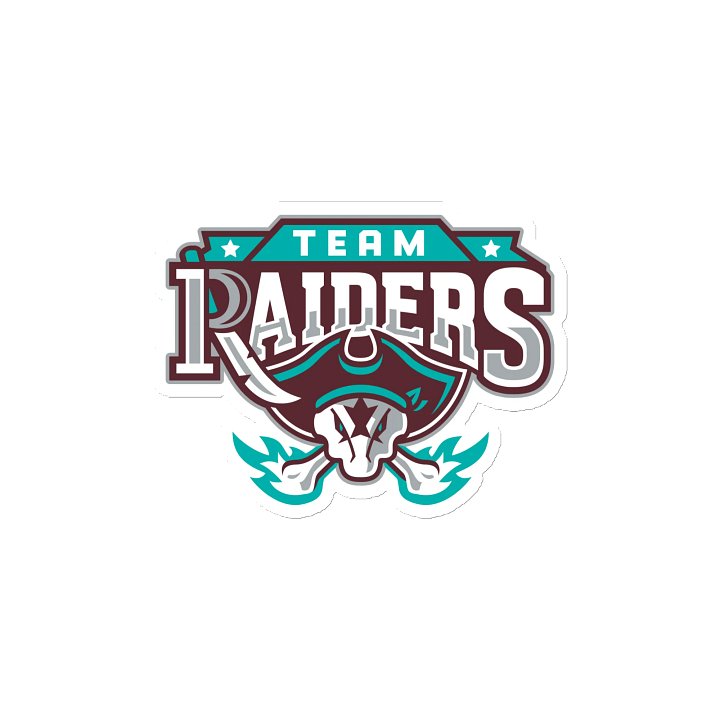 Team Raiders Magnet product image (2)
