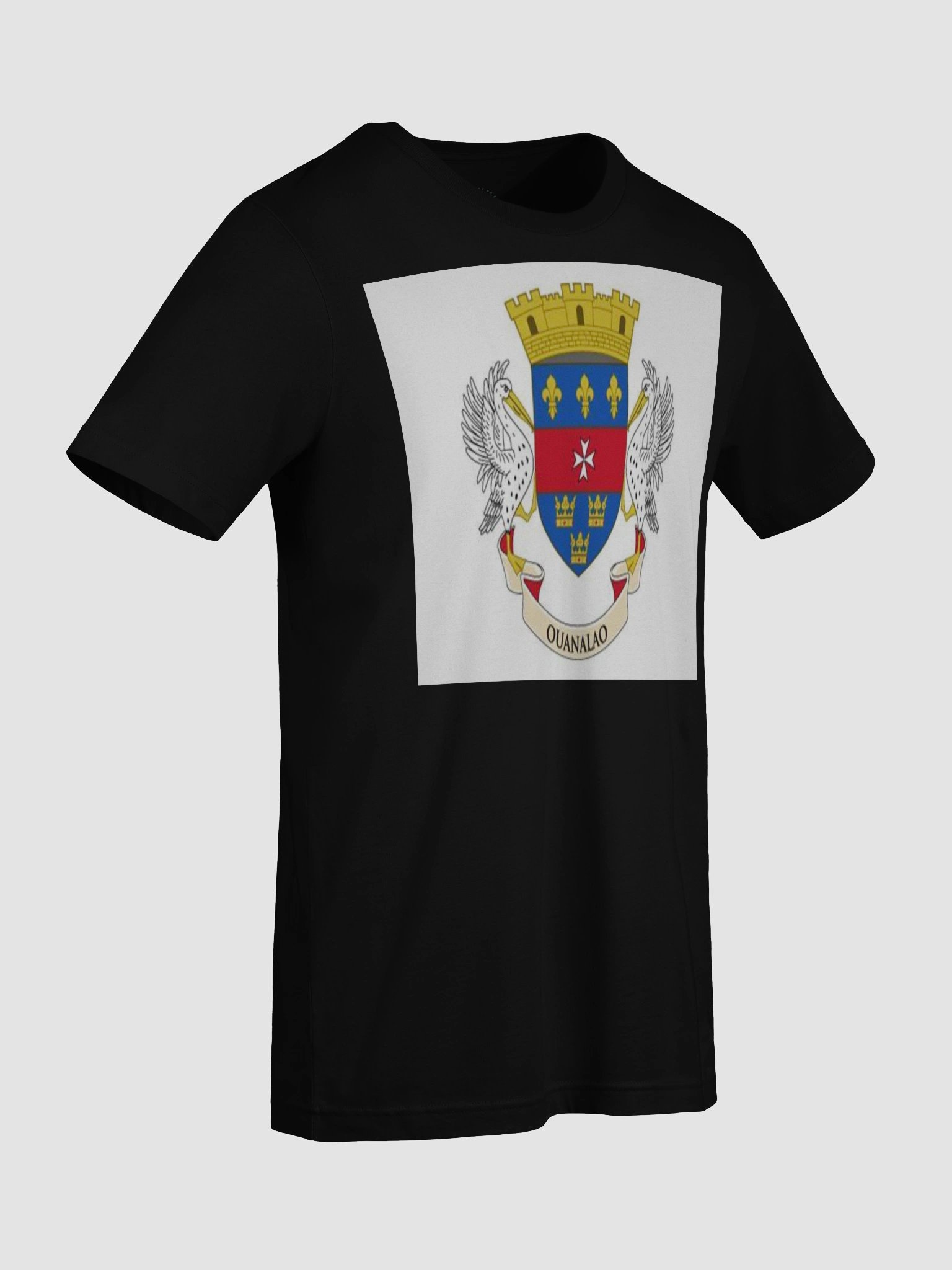 Exclusive St Barthelemy Unofficial Flag T-Shirt – Unisex Supersoft Comfort | TDS Music product image (9)
