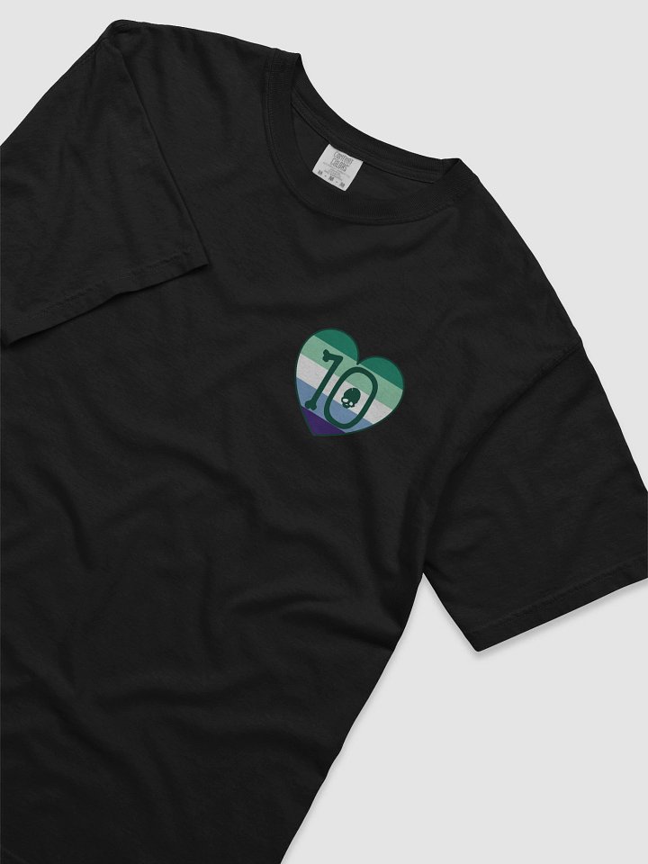 Gay Pride - Rule 10 T-Shirt product image (1)