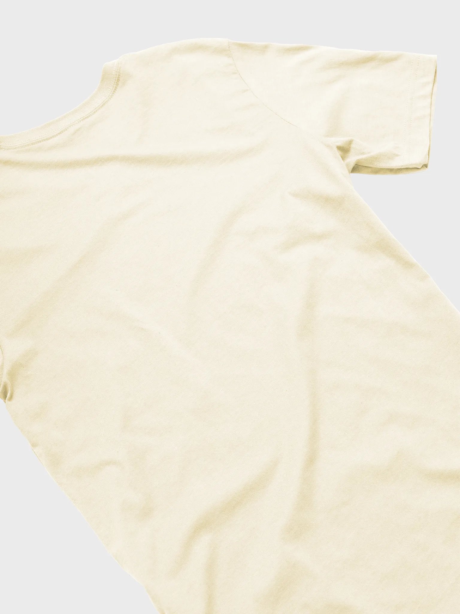 Invitro Fertilization Pregnancy Treatment, Bella Canvas T-shirt product image (18)