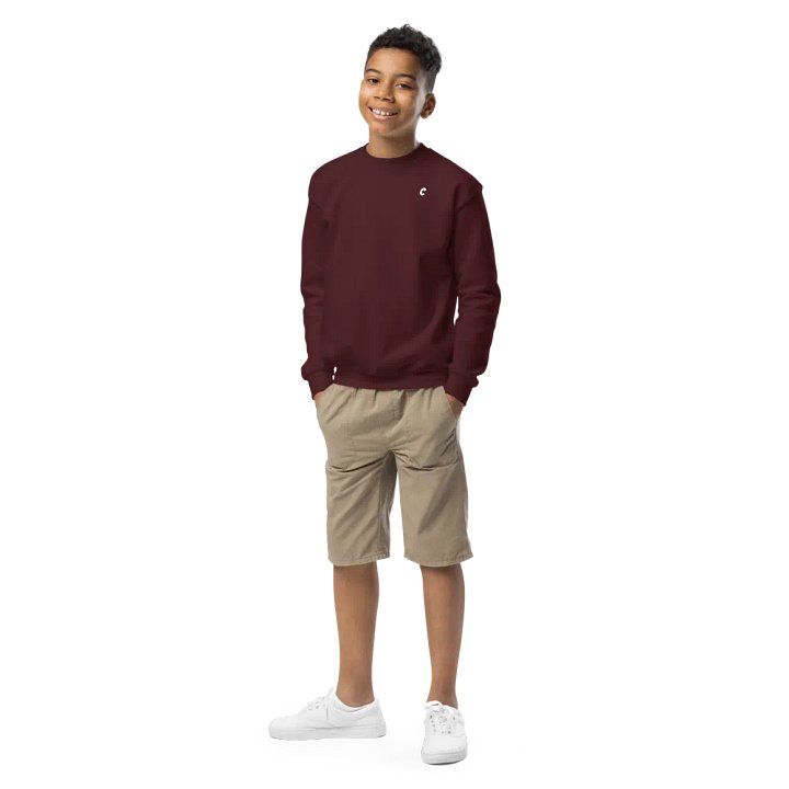 Kids Crew Neck Sweatshirt product image (1)