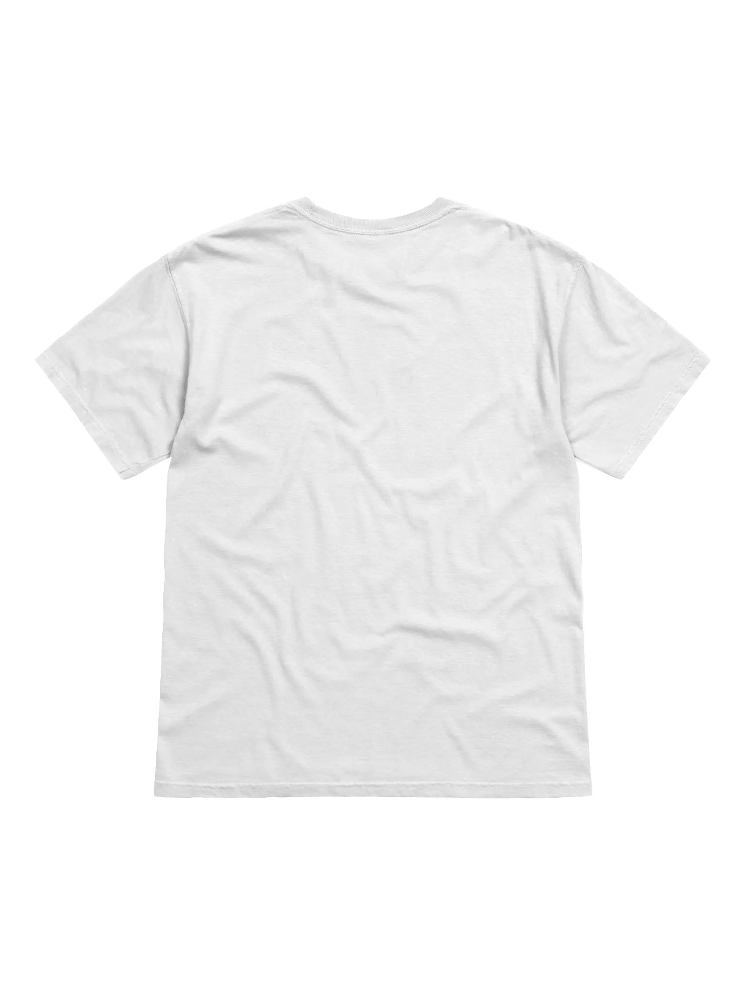TWS Retro Logo | Crew T-Shirt (Light) product image (2)