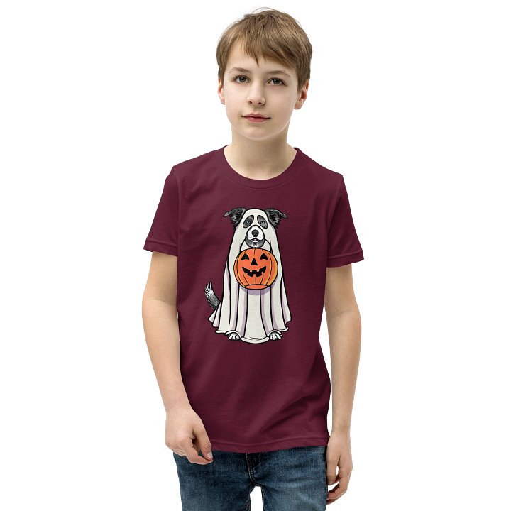 Halloween Border Collie(Blue Merle) Youth T-Shirt product image (1)