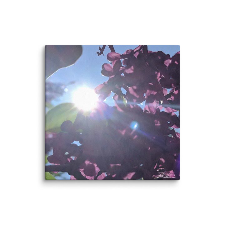Lillac's and Sunshine product image (15)