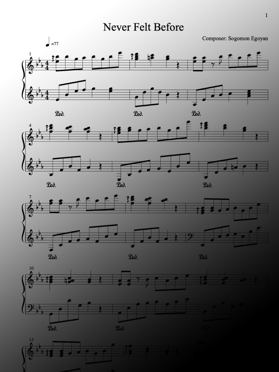 Never Felt Before by Sogomon Egoyan - Piano Sheet Music product image (1)