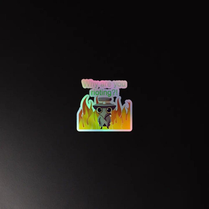 Why are you rioting holographic sticker product image (4)