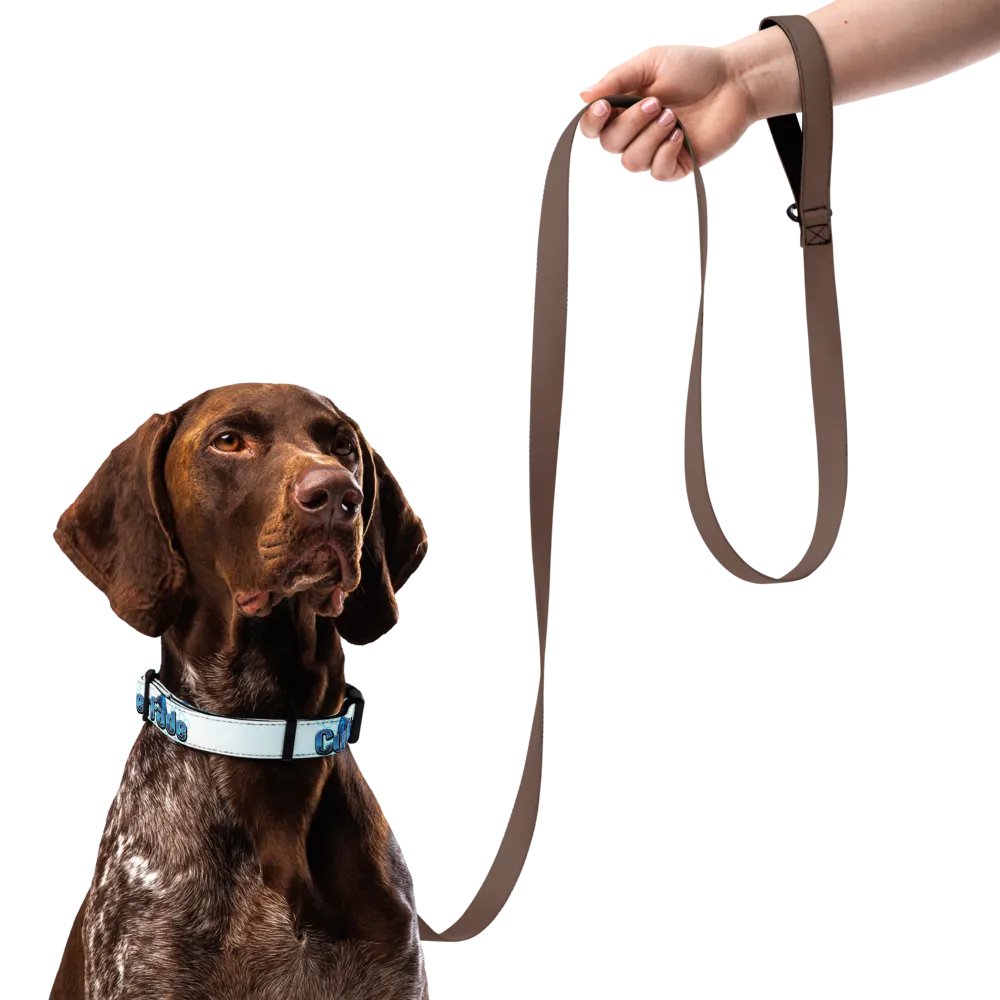 Collar product image (11)