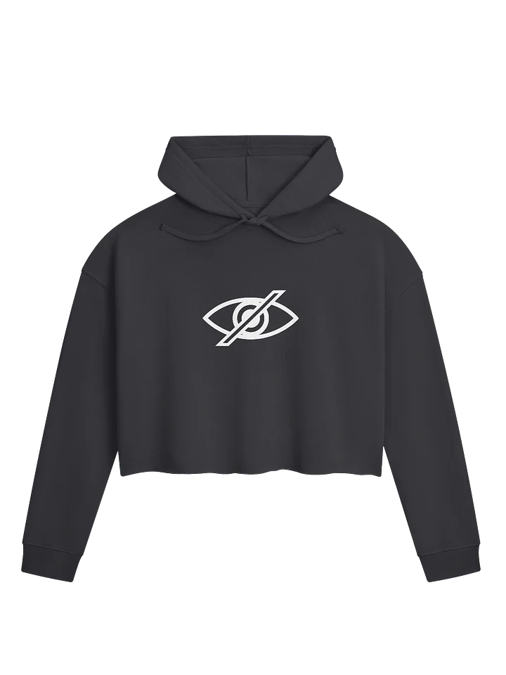 No Surveillance - Cropped Hoodie product image (1)