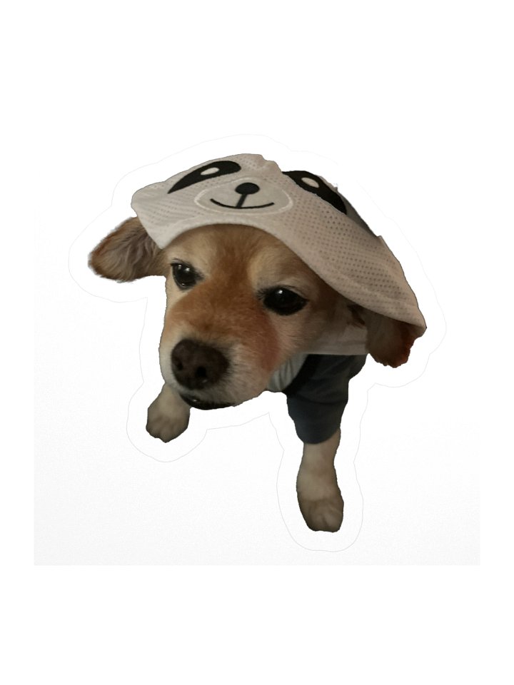 Imposter Syndrome product image (1)