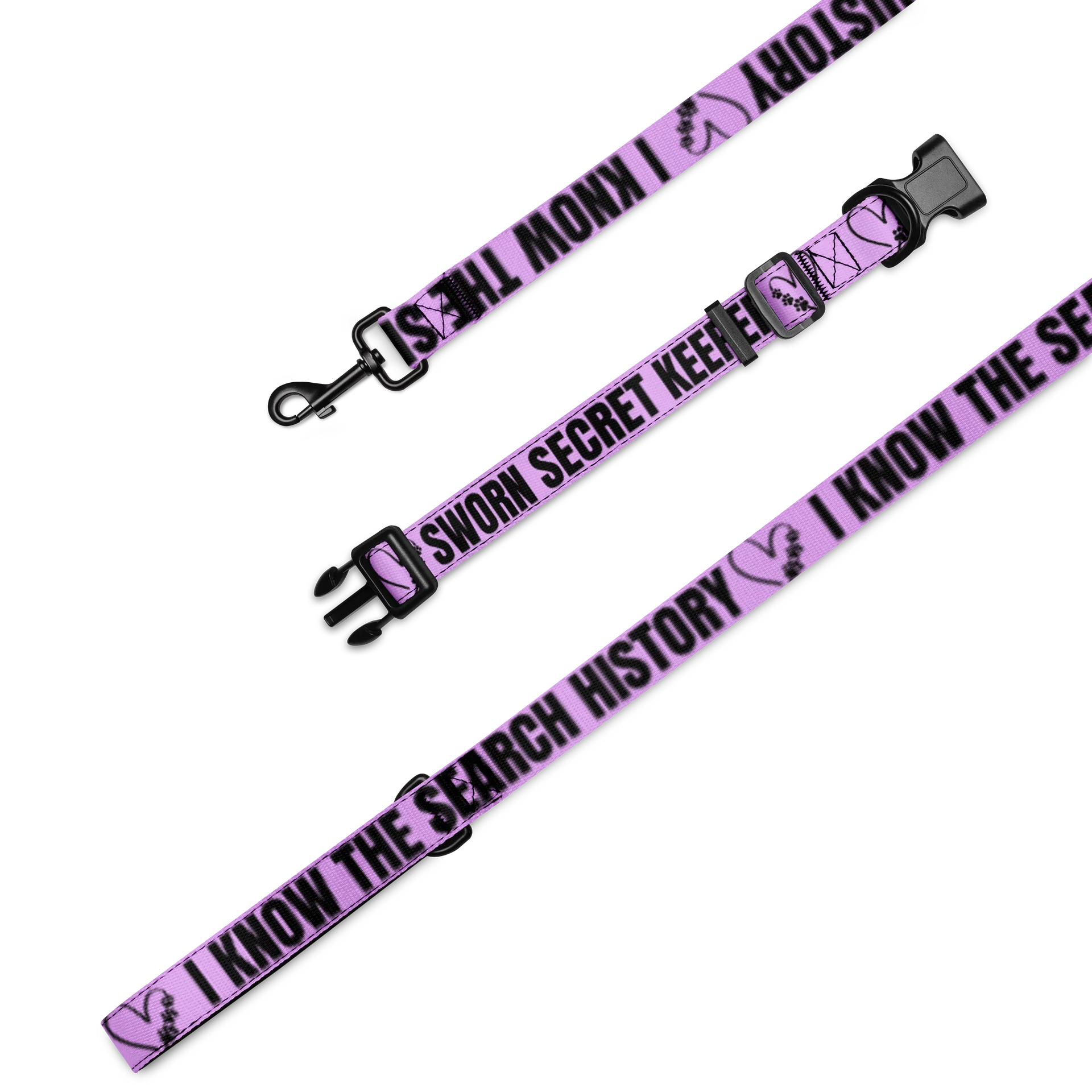 Sworn Secret Keeper Dog Collar & Leash Set product image (1)