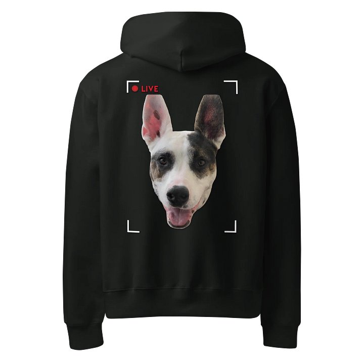 Sagey Hoodie product image (26)