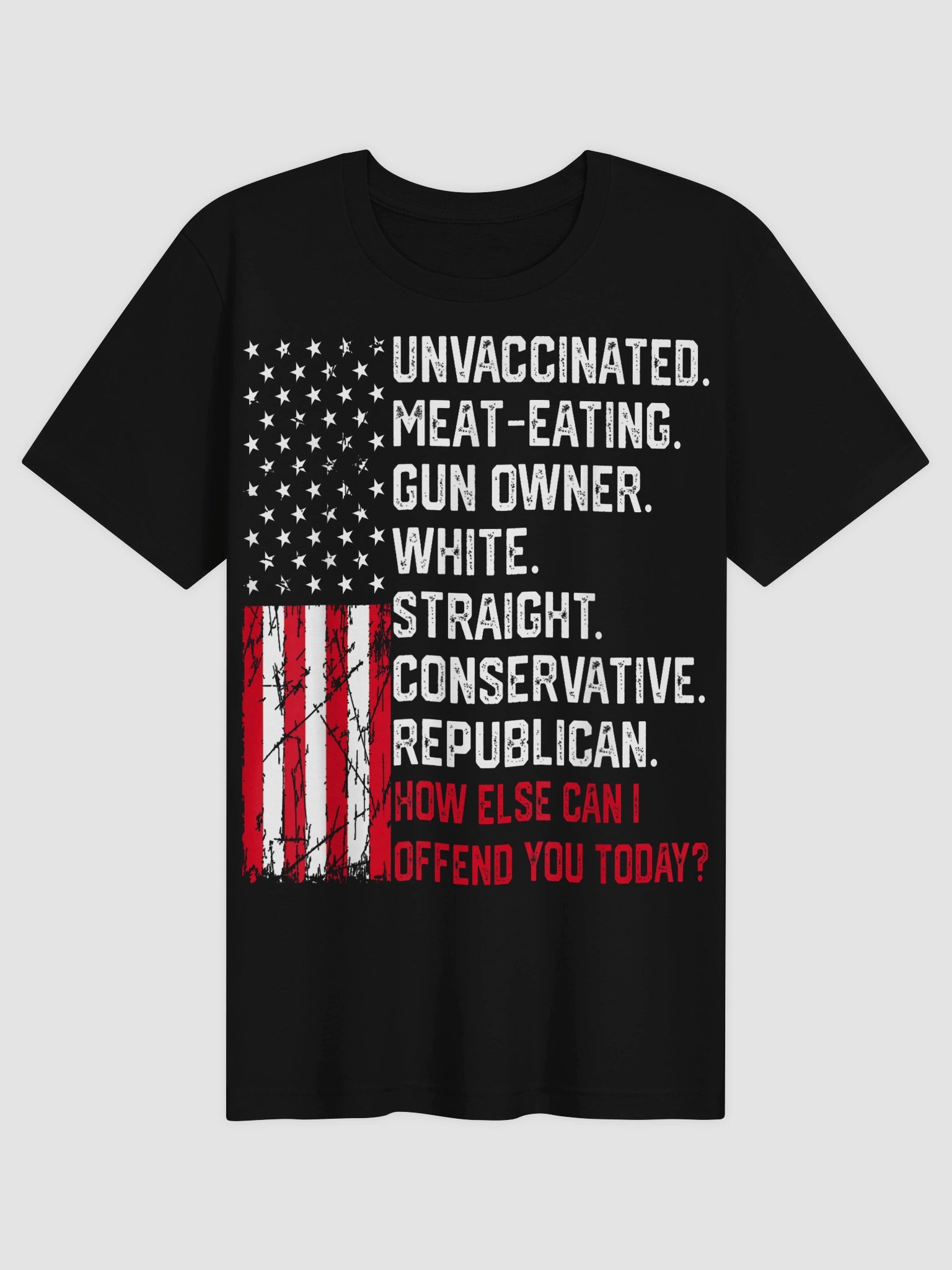 How Else Can I Offend You Today Political Statement T-Shirt product image (1)