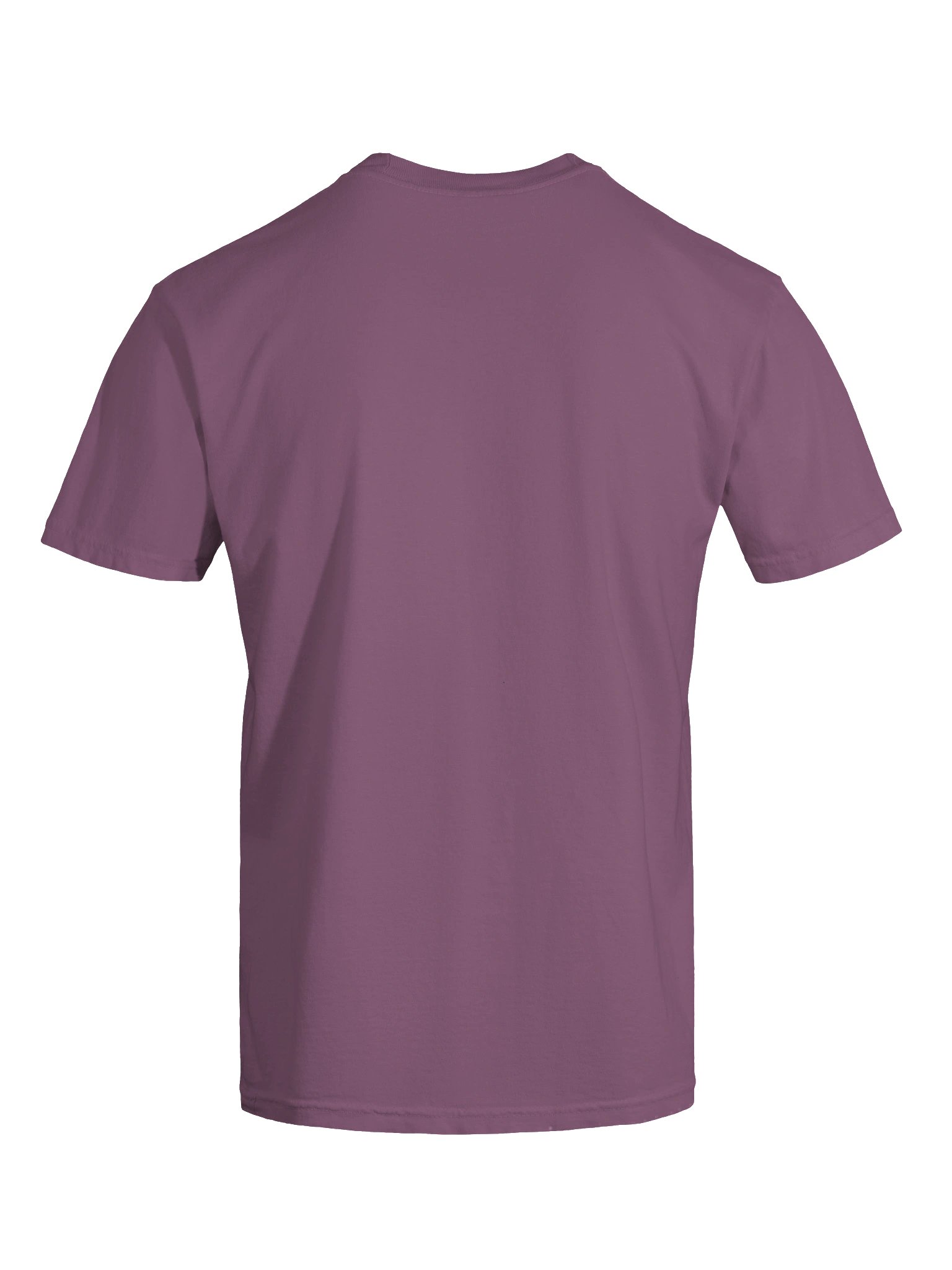 KINGDOM GAME CHANGER™ Signature Tee product image (95)