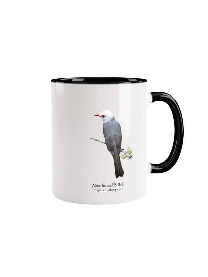 White-headed Bulbul mug product image (5)
