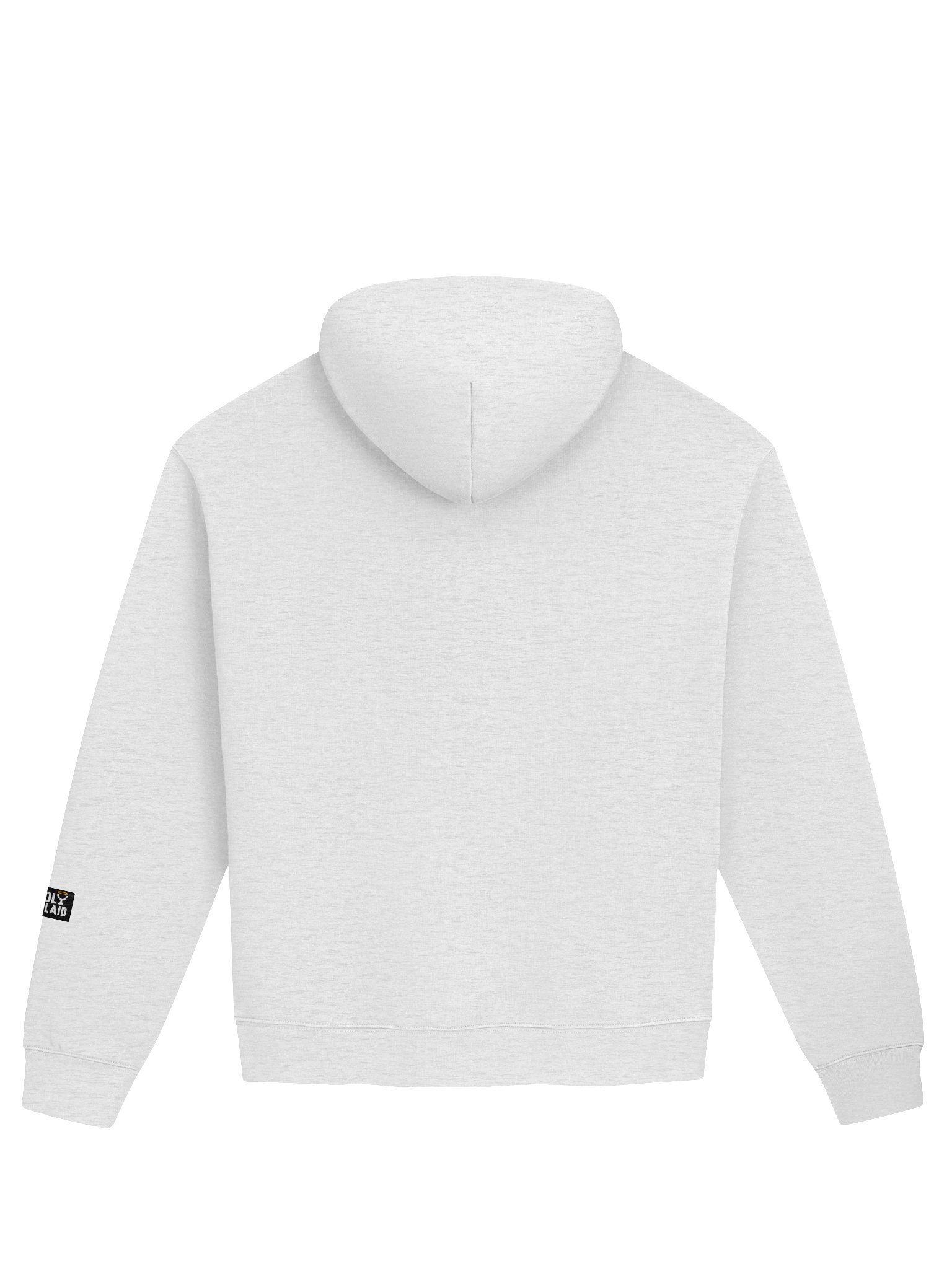 My Worldview Updates - Premium Oversized Hoodie product image (60)