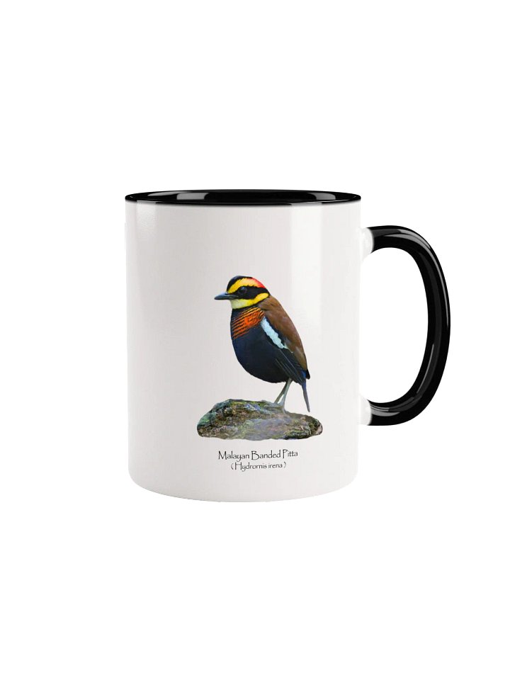 Malayan Banded Pitta mug product image (4)