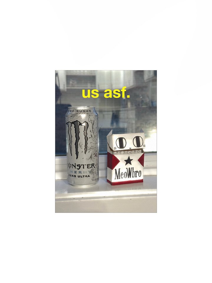 US ASF PRINT product image (4)