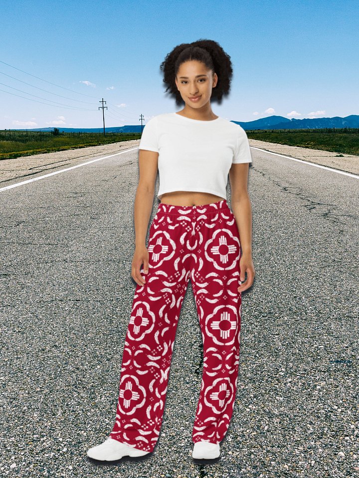 Zia and Feather Wide-Leg Pants product image (1)