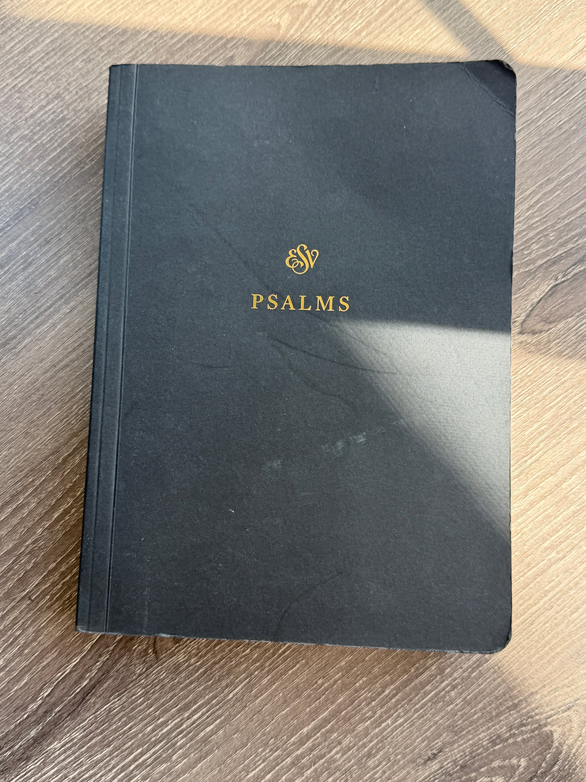 ESV Psalms Scripture Journal | Crossway | English Standard Version | Black Journaling Edition product image (1)