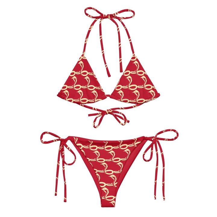 Snake Song Recycled Bikini Set product image (2)