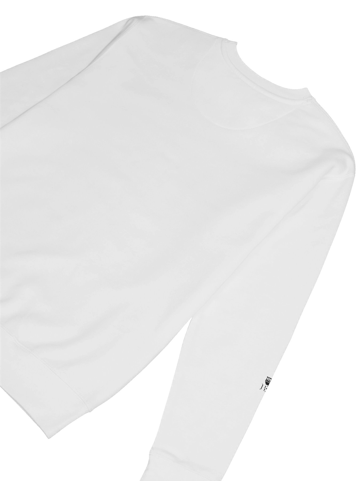 Restricted Access : AUTHORIZED ONLY Regular Fit Sweatshirt product image (64)
