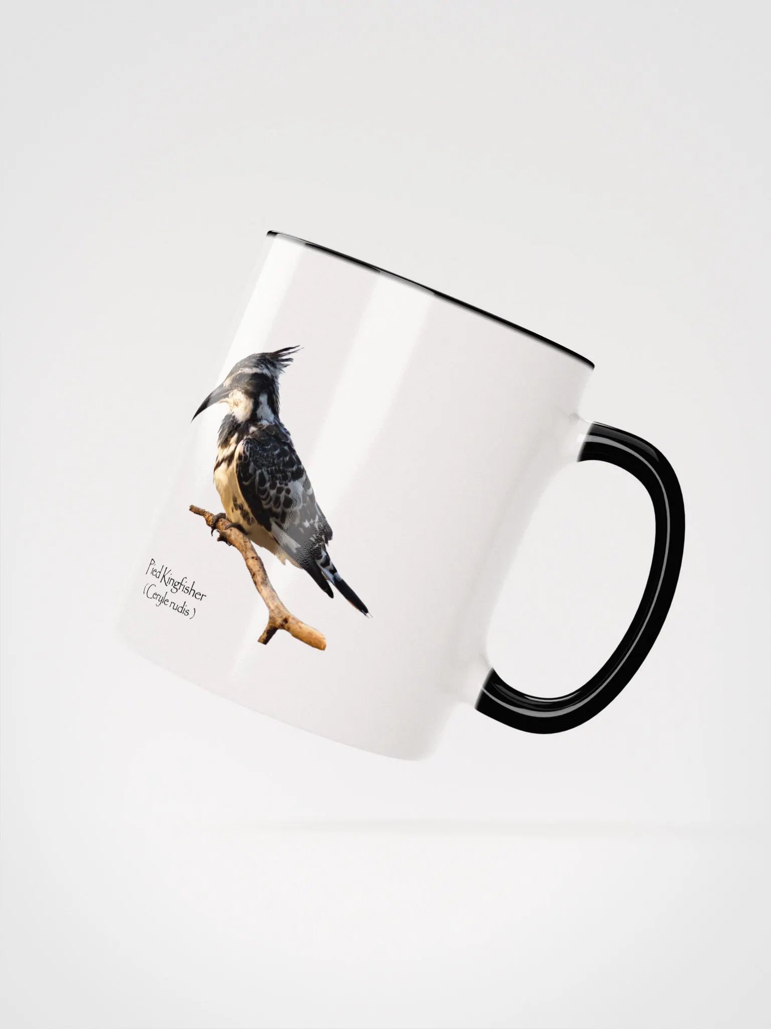 Pied Kingfisher mug product image (14)
