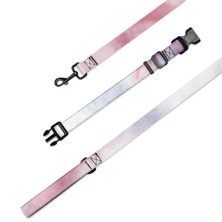 Whimsical Pet Collar & Leash Set product image (2)