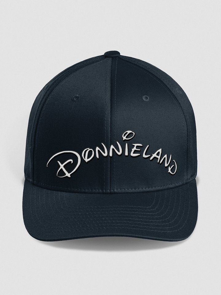 DonnieLand Flexfit Cap product image (1)
