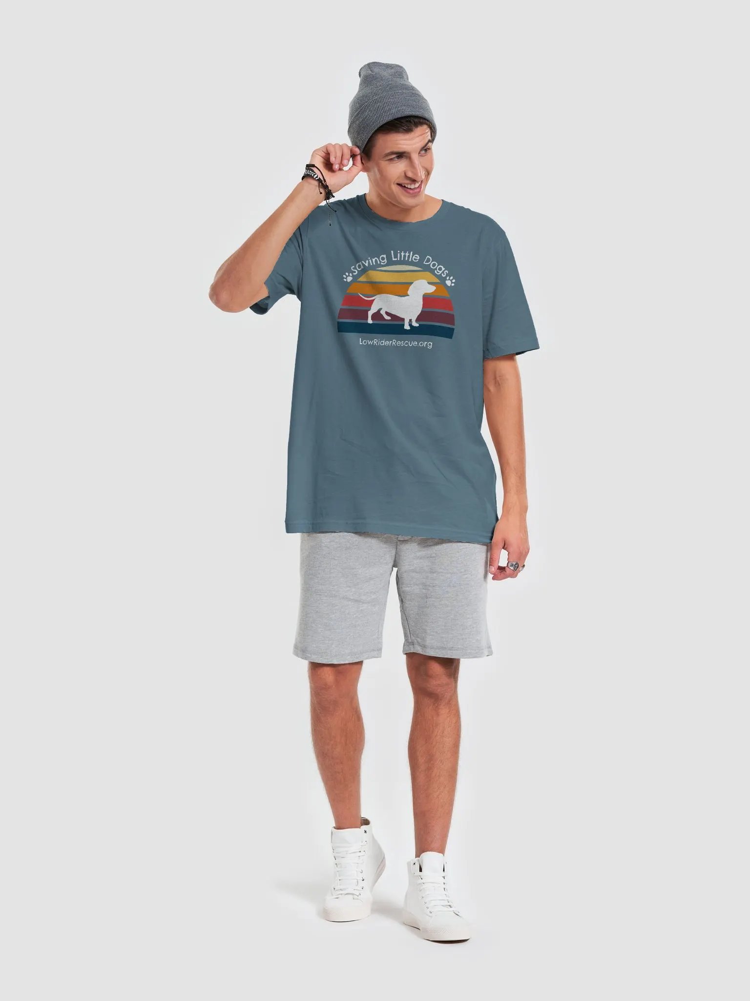 Sunset Rainbow Low Rider Dachshund Rescue T 6 product image (3)