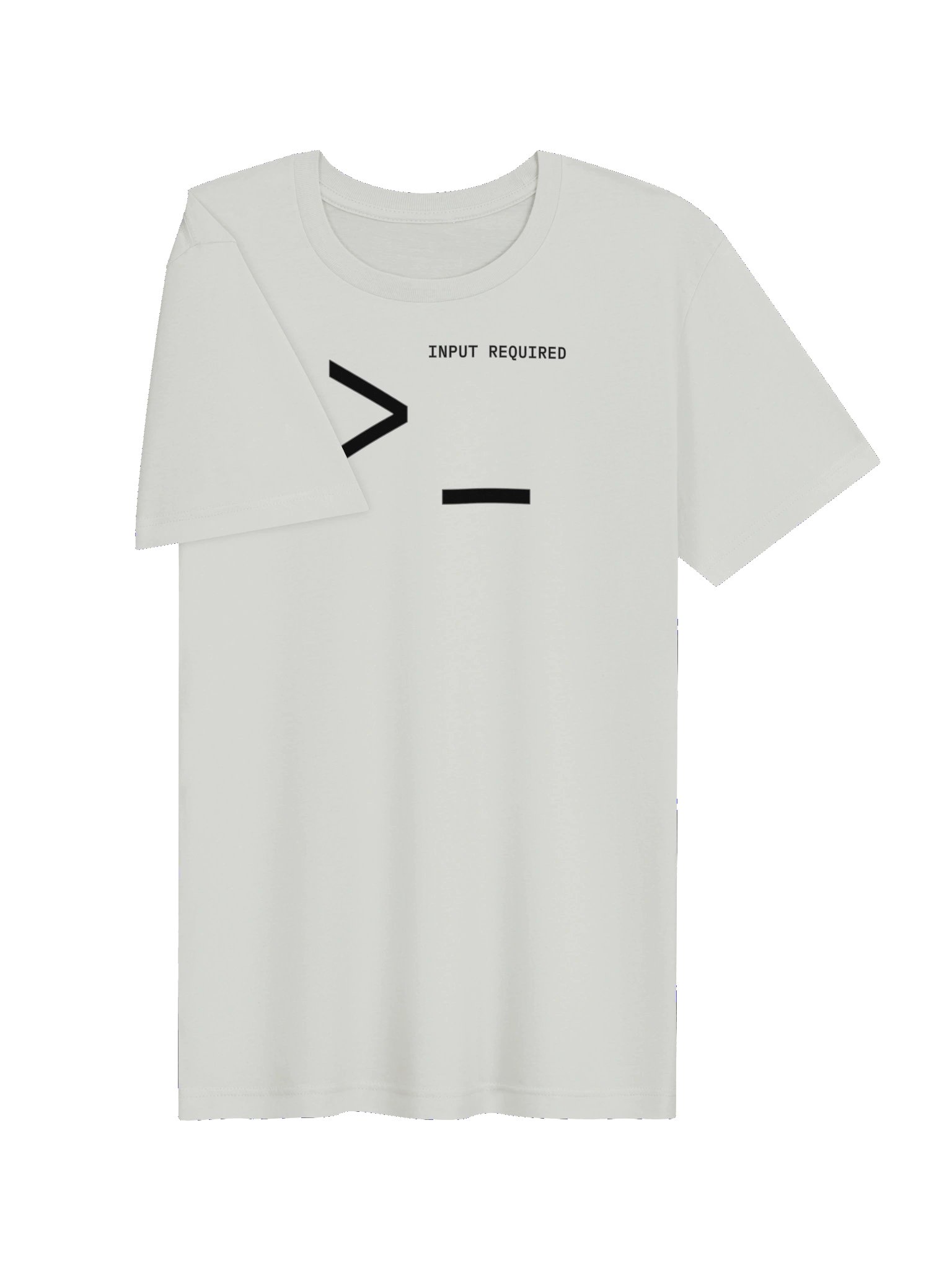 INPUT REQUIRED Minimalist T-shirt product image (40)