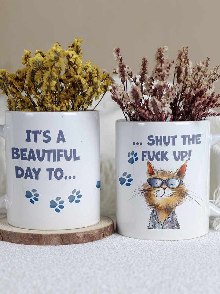 Cat Chat: "It's a beautiful day to... shut the fuck up". White glossy mug product image (1)