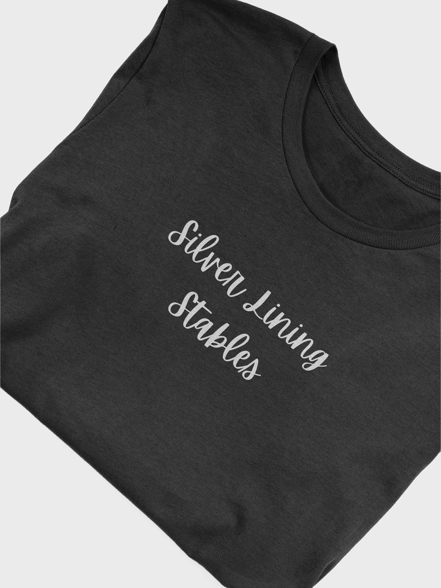 SLS Bella+Canvas T-Shirt product image (31)