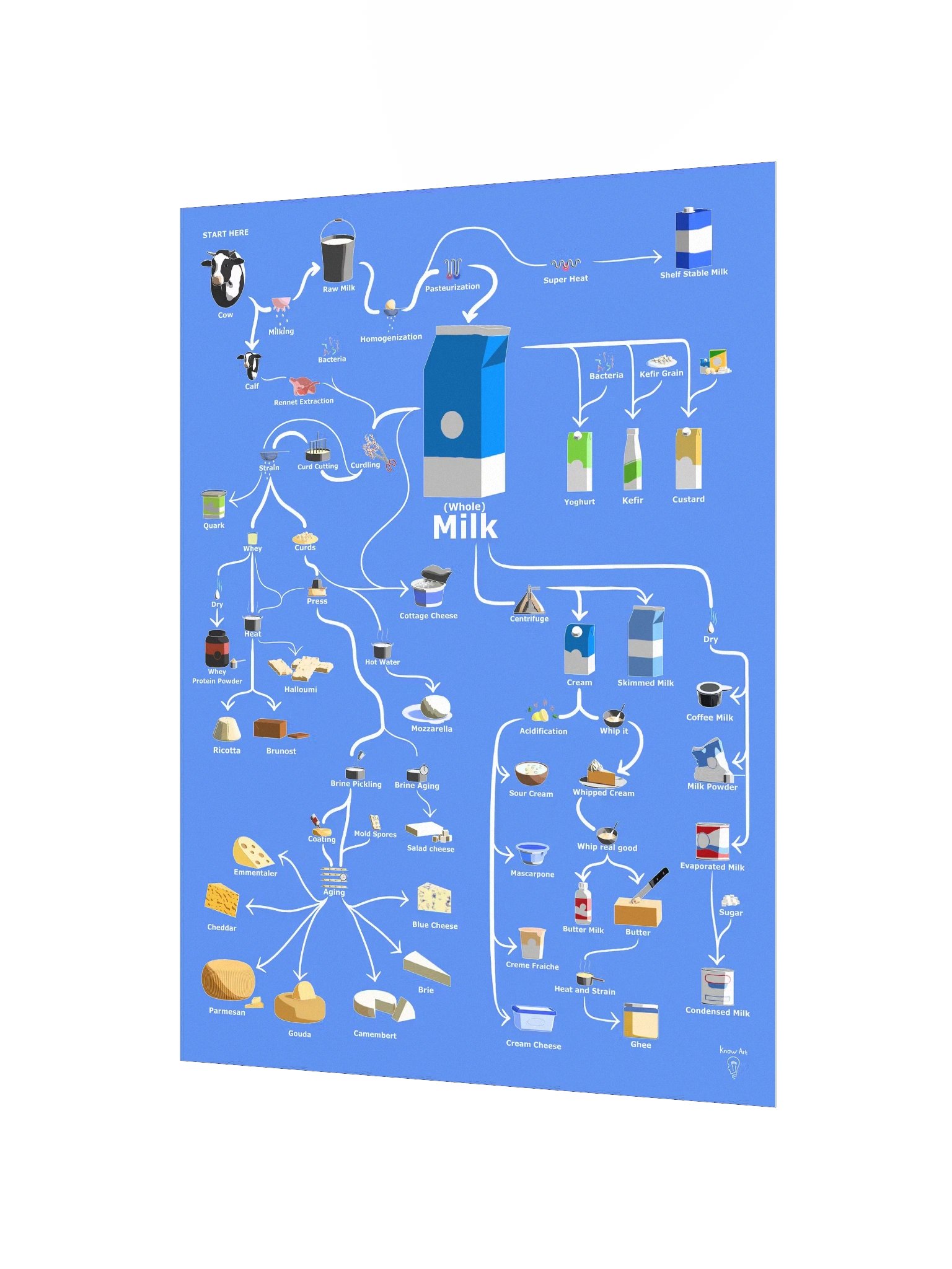 The Family Tree of Milk - Poster product image (4)