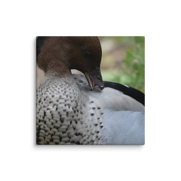 Duck on a Canvas product image (2)
