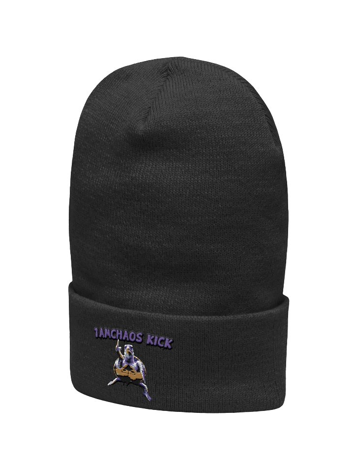 Chaos Kick Turtle Power Beanie product image (15)