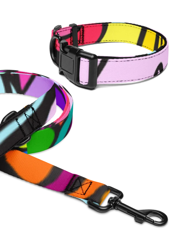 Vibrant Stripes Pet Collar & Leash Set - Wave at Sunset product image (9)