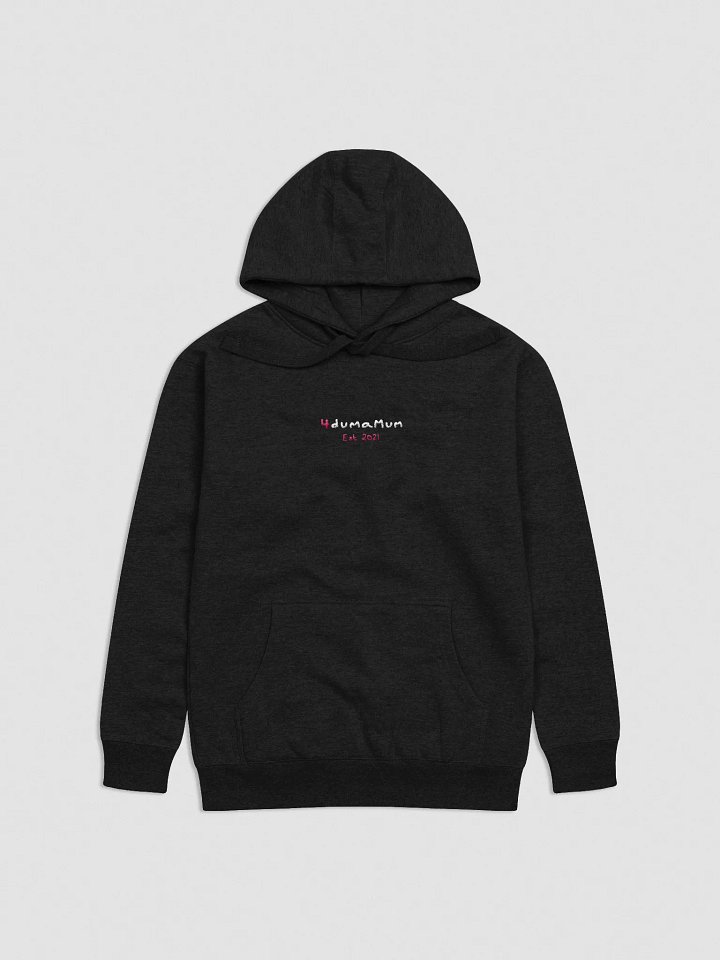 4 Year Anniversary Hoodie product image (1)