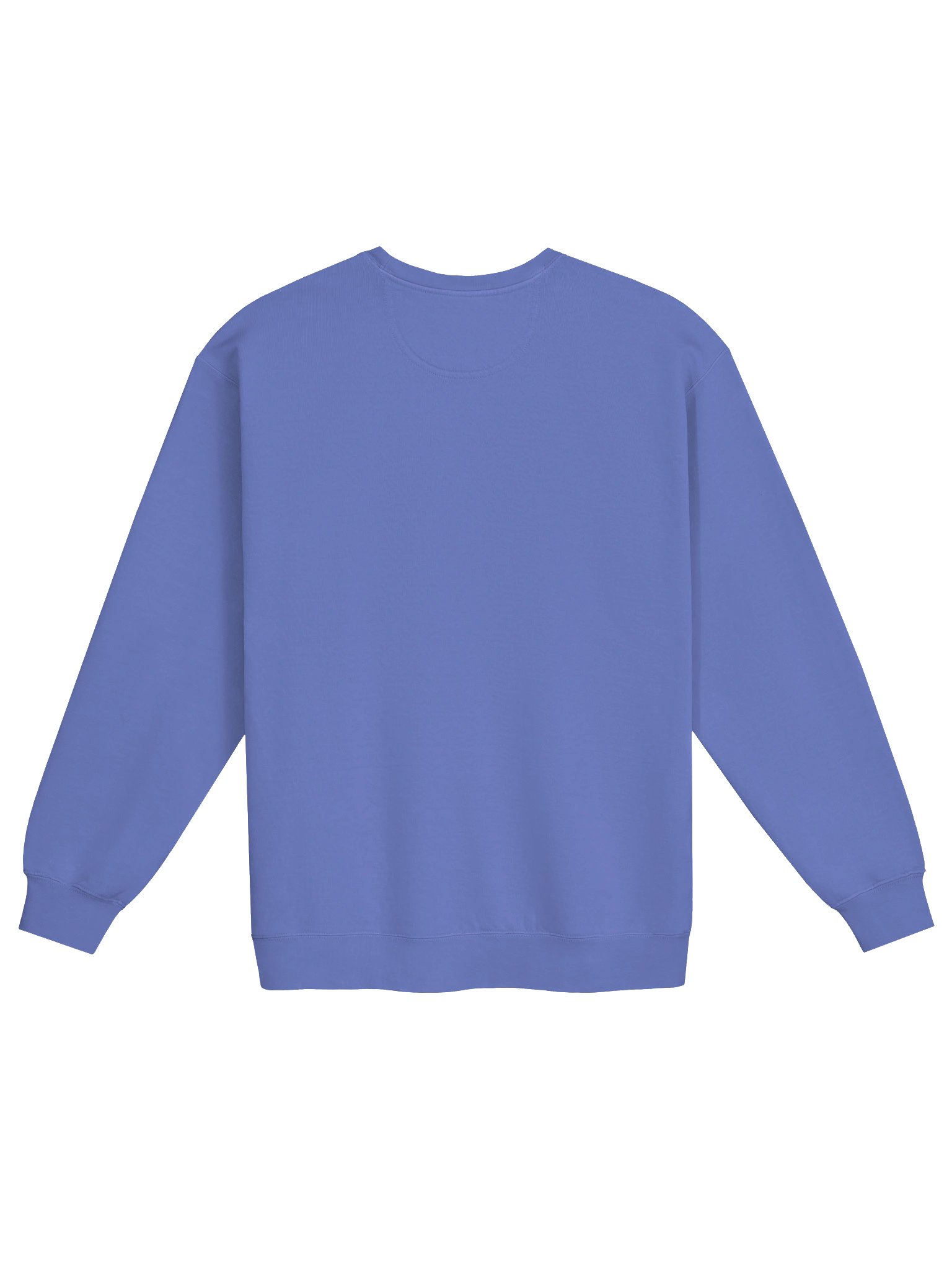 Starfish Crewneck Sweatshirt - 2 product image (3)