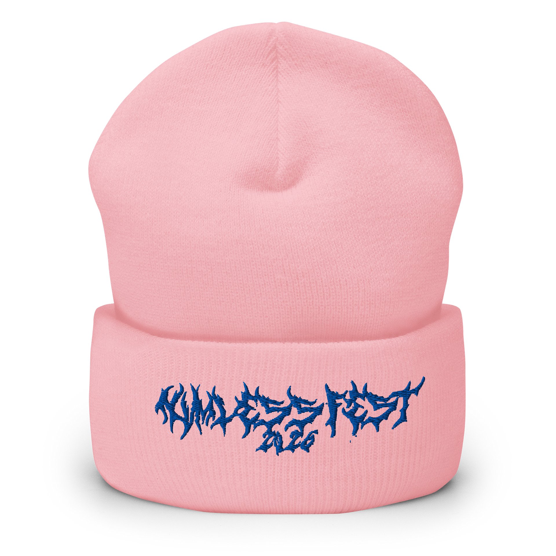 Nvmeless Fest 2026 Beanie product image (3)