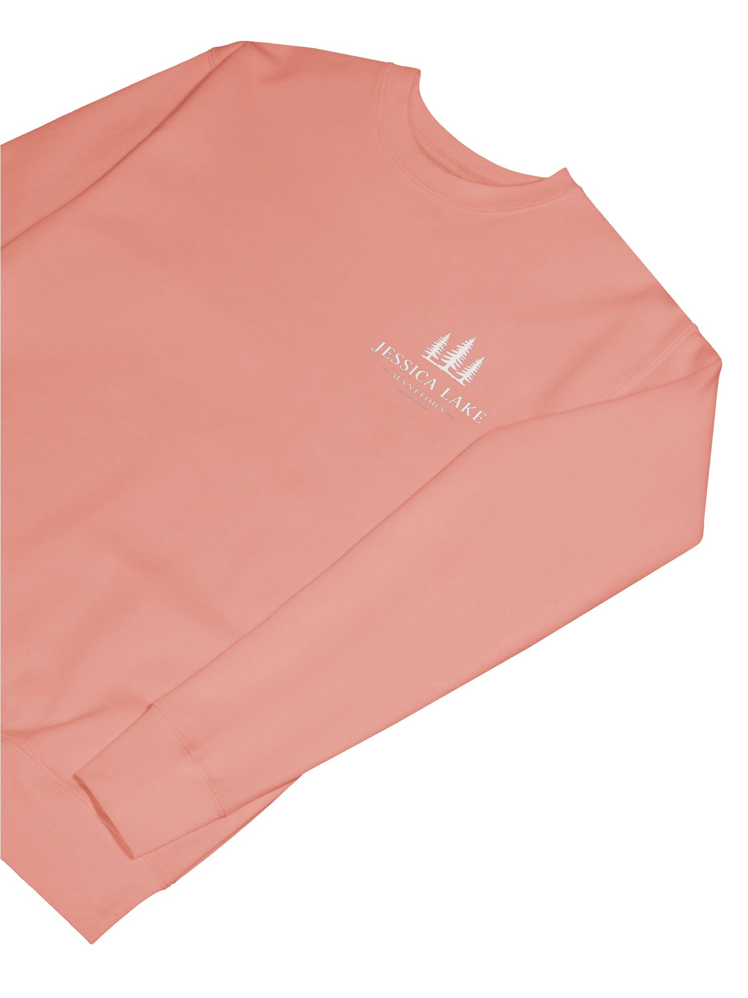 Jessica Lake Manitoba Pine Logo Sweatshirt product image (49)