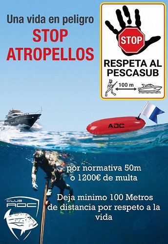 Hola chicos, como todos los años intentamos hacer la campaña desde el club ADC de Stop atropellos consiste en imprimir cartel...