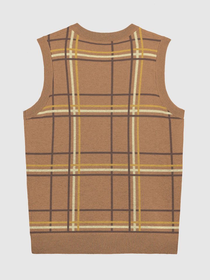 Motivation Plaid V-Neck Vest product image (9)