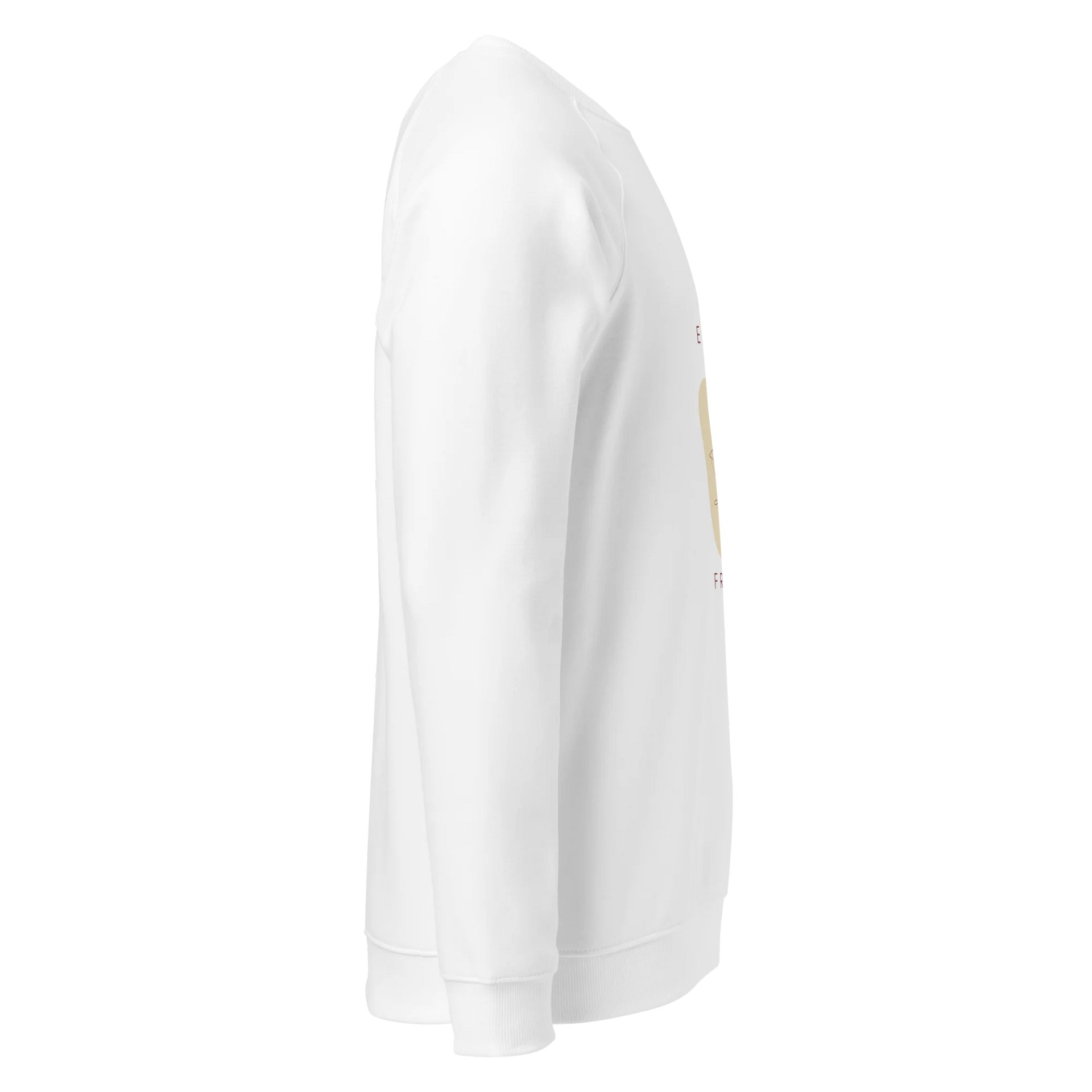 Women's Organic Raglan Sweatshirt ORFB0115 product image (3)