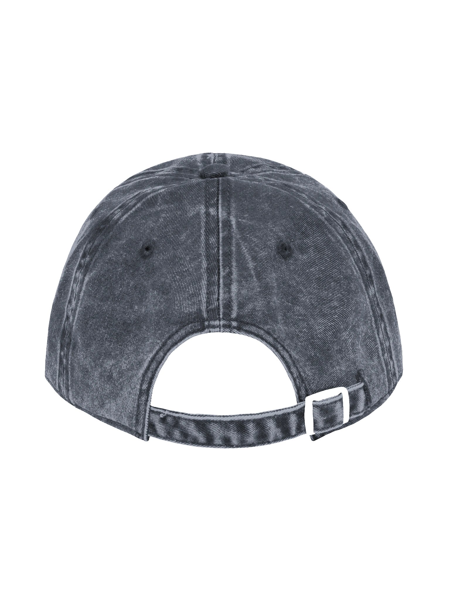 The OG PigeonToast Cap product image (8)