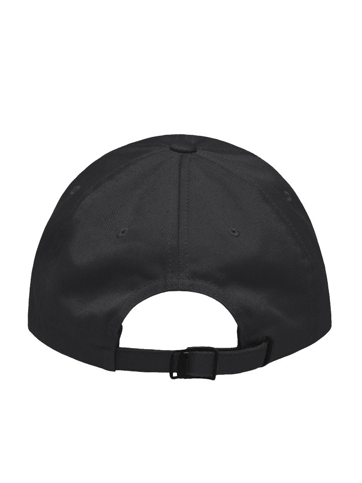BORN TO DIE HAT product image (2)