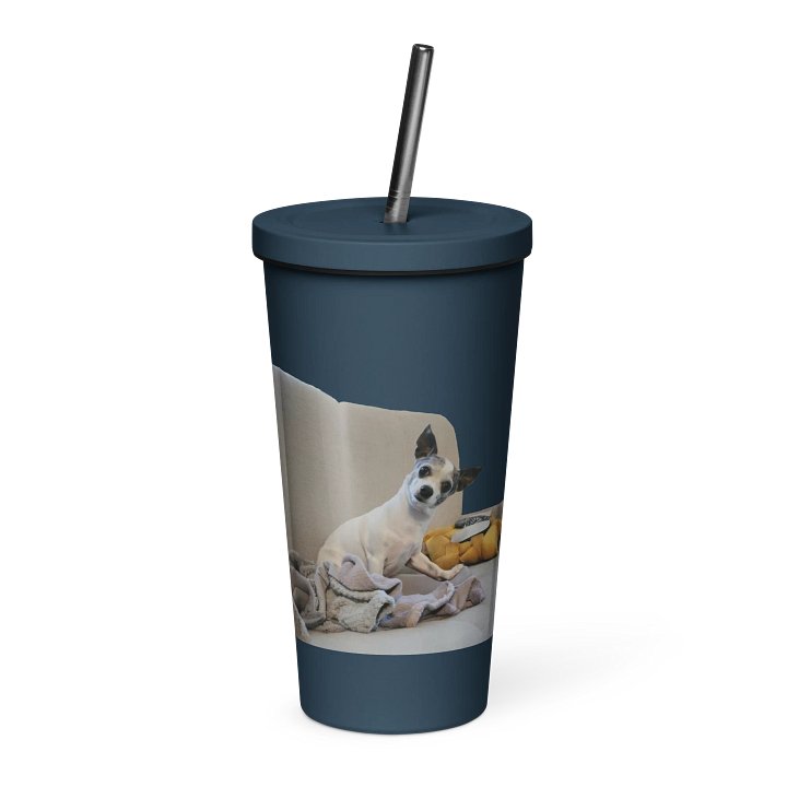 Personalize your Insulated Tumbler product image (1)