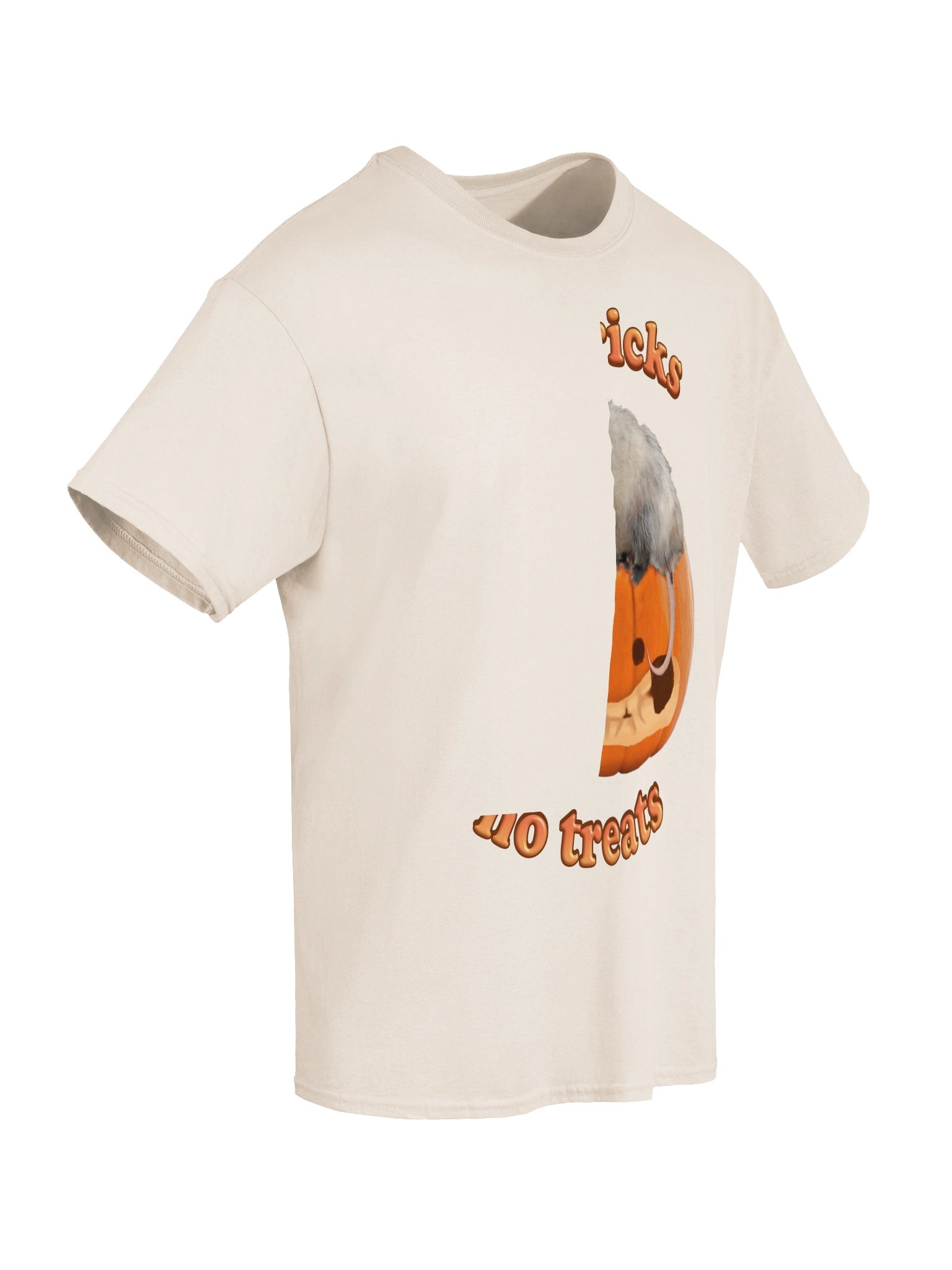 All Tricks No Treats - Autumn Pumpkin Possum T-shirt product image (6)