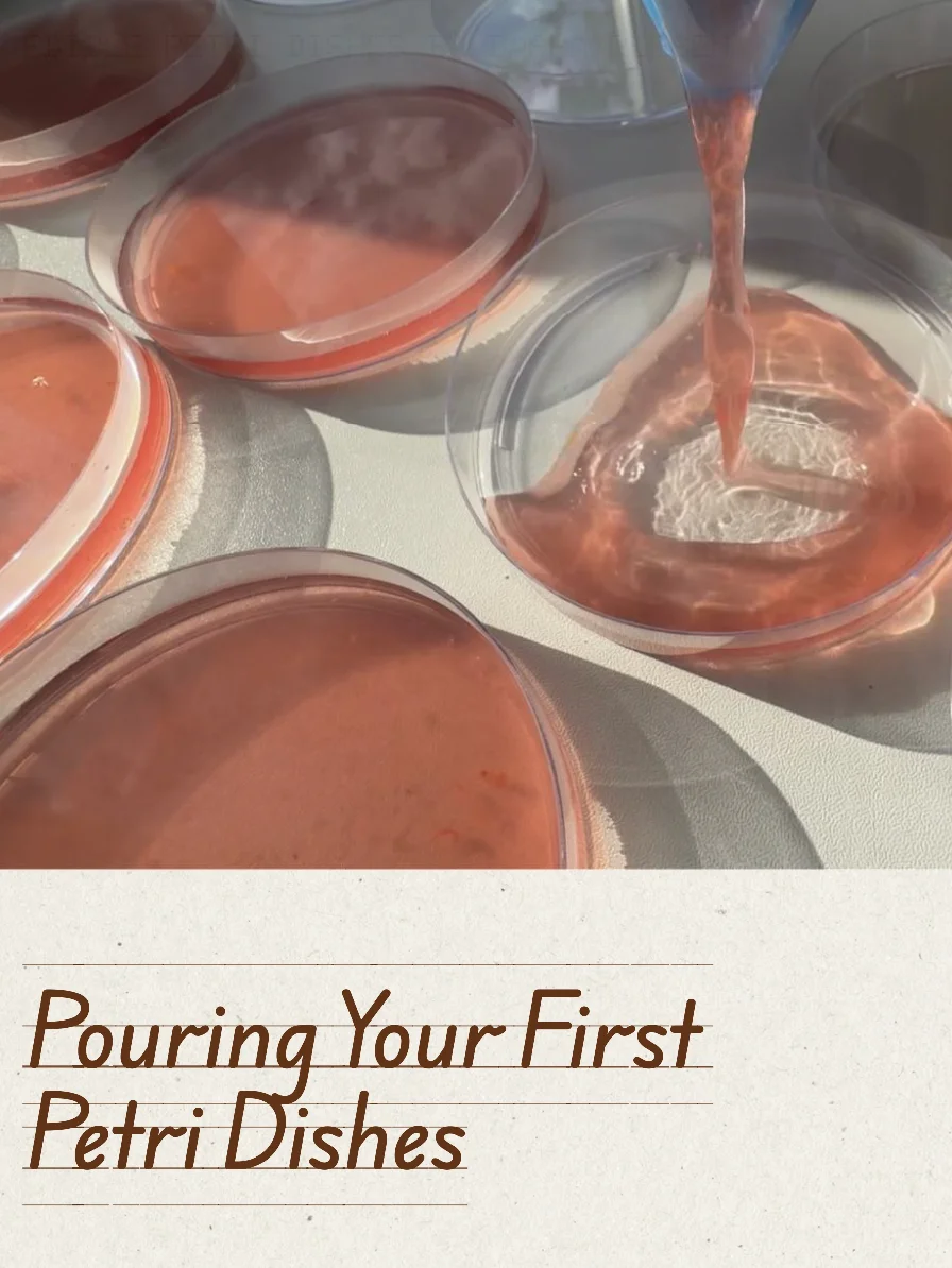 Tasty MOLD. Playbook product image (1)
